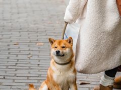 -都江堰景区
