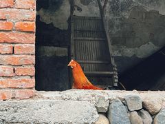 -鹿亭中村