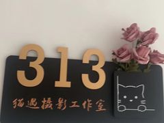 -猫遇摄影工作室