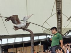 -新加坡飞禽公园