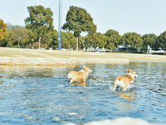 -上海月湖雕塑公园