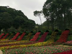 -广州市石门国家森林公园