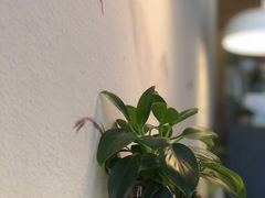 -红小满休闲餐厅(十全街店)