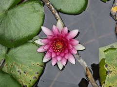 -白鹭湾湿地公园