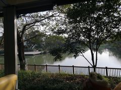 -西溪国家湿地公园