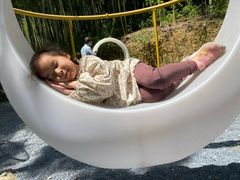 -东明山森林公园