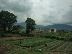 -井冈山革命烈士陵园