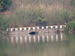 -白鹭湾湿地公园