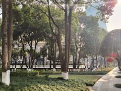 -重庆市江北嘴中央商务区中央公园