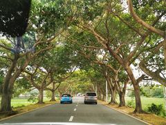 -一嗨租车(凤凰机场店)