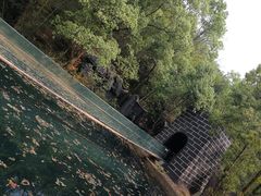 -石燕湖生态旅游景区