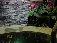 -泉城欧乐堡戏水湾艺术养生温泉