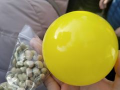 -上野公园花园稻荷神社(忍岡稲荷神社)