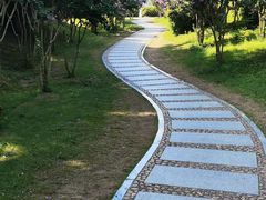 -深圳湾公园(南山区)