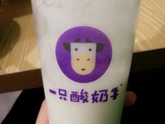 -一只酸奶牛(来福士店)