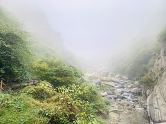-至味人间