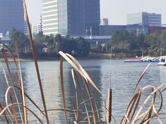 -美兰湖景区