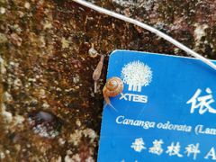 -中国科学院西双版纳热带植物园