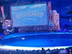 -华夏文旅海洋公园