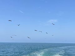 -海驴岛(荣成市)