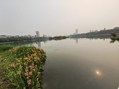 -南宁南湖公园