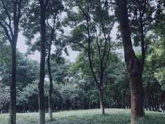 -后襄河公园