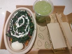 -油梨树 AVOCADO TREE(亮马桥店)