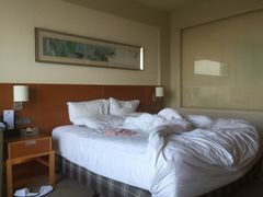 -上海浦东康桥绿地假日酒店