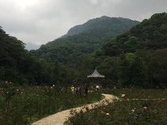 -广州市石门国家森林公园