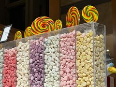 -视界美食自助餐厅·石家庄希尔顿酒店