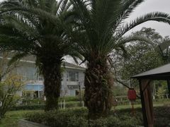 -雅安楠水阁温泉酒店