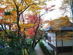 -常寂光寺