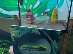 -绿色星球动物主题公园