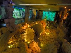 -乐山乌木文化博览苑