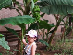 -万源龙顺度假庄园生态观光园