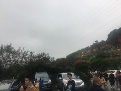 -枇杷园食为鲜火锅(南山店)