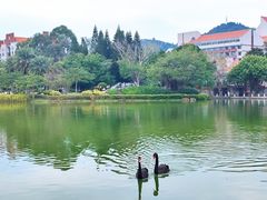 -厦门大学(思明校区)