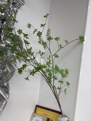 -茶发Salon·烫发染发理发