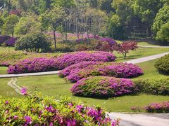 -宜兴龙背山森林公园