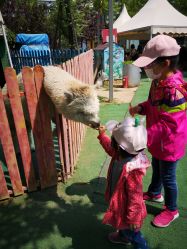 -萌宠亲子动物乐园(槐房万达店)