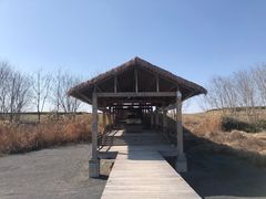 -良渚古城遗址公园