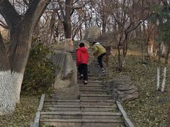 -锦绣公园