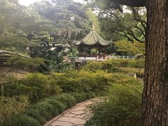 -申粤轩酒楼·三十年粤菜经典(丁香花园店)