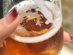 -雪梨精酿 Sydney Coast Brewing(沁春家园店)