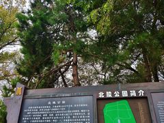 -北陵公园