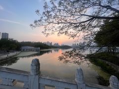 -月湖风景区