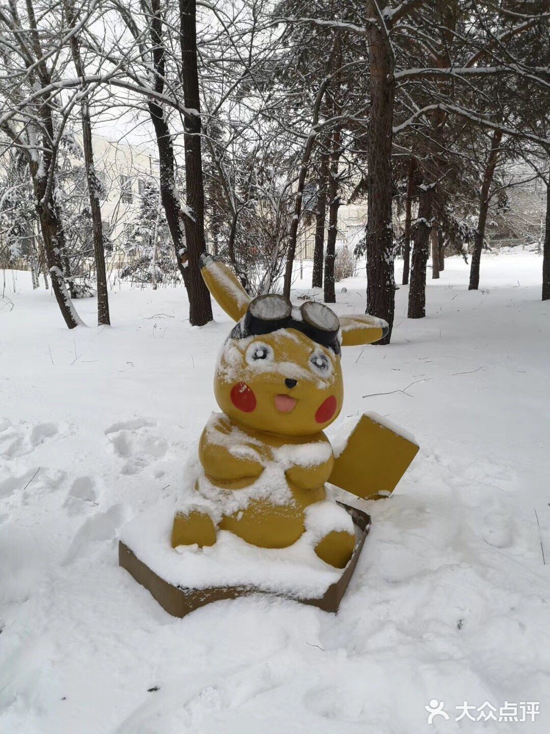 净月湖下雪啦！❄️