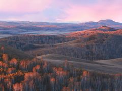 -塞罕坝国家级自然保护区