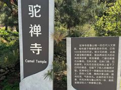 -鲁山国家森林公园