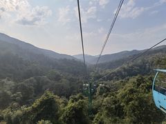 -野象谷景区